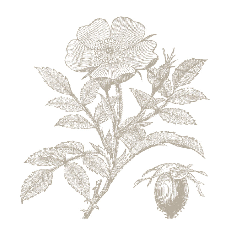 Yard Etc Dog Rose doftljus