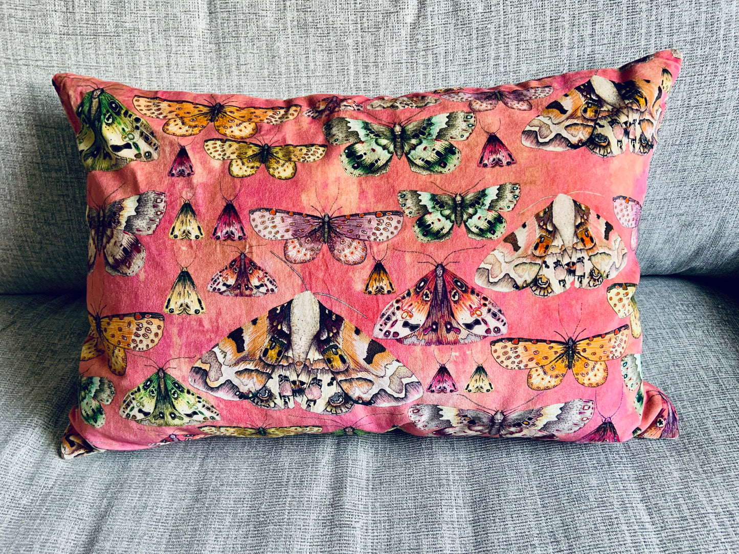 Kuddfodral Issoria rosa sammet med fjärilar 60x40