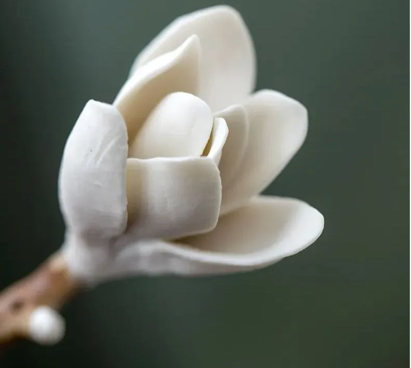 Magnolia i keramik